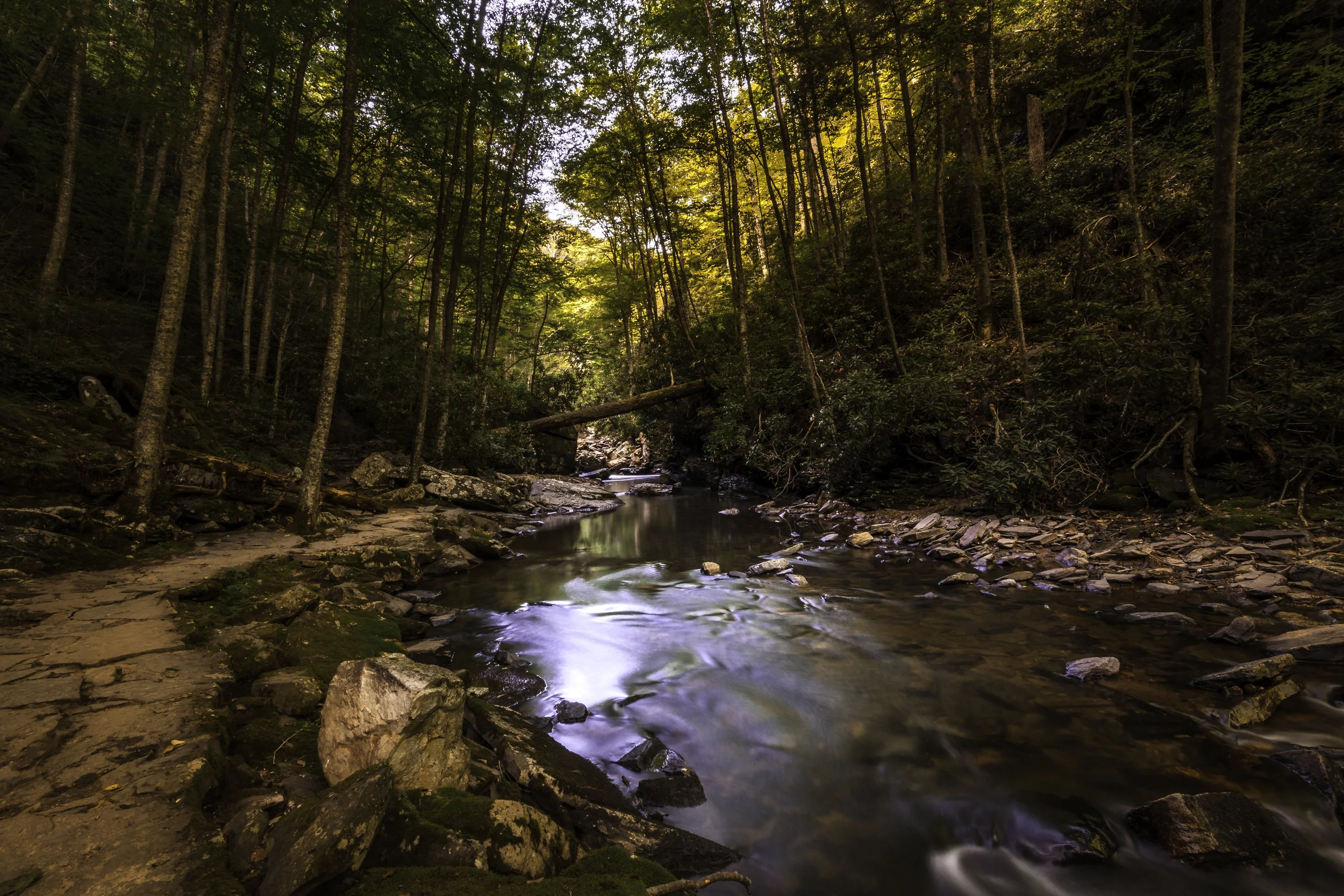 HDR .jpg