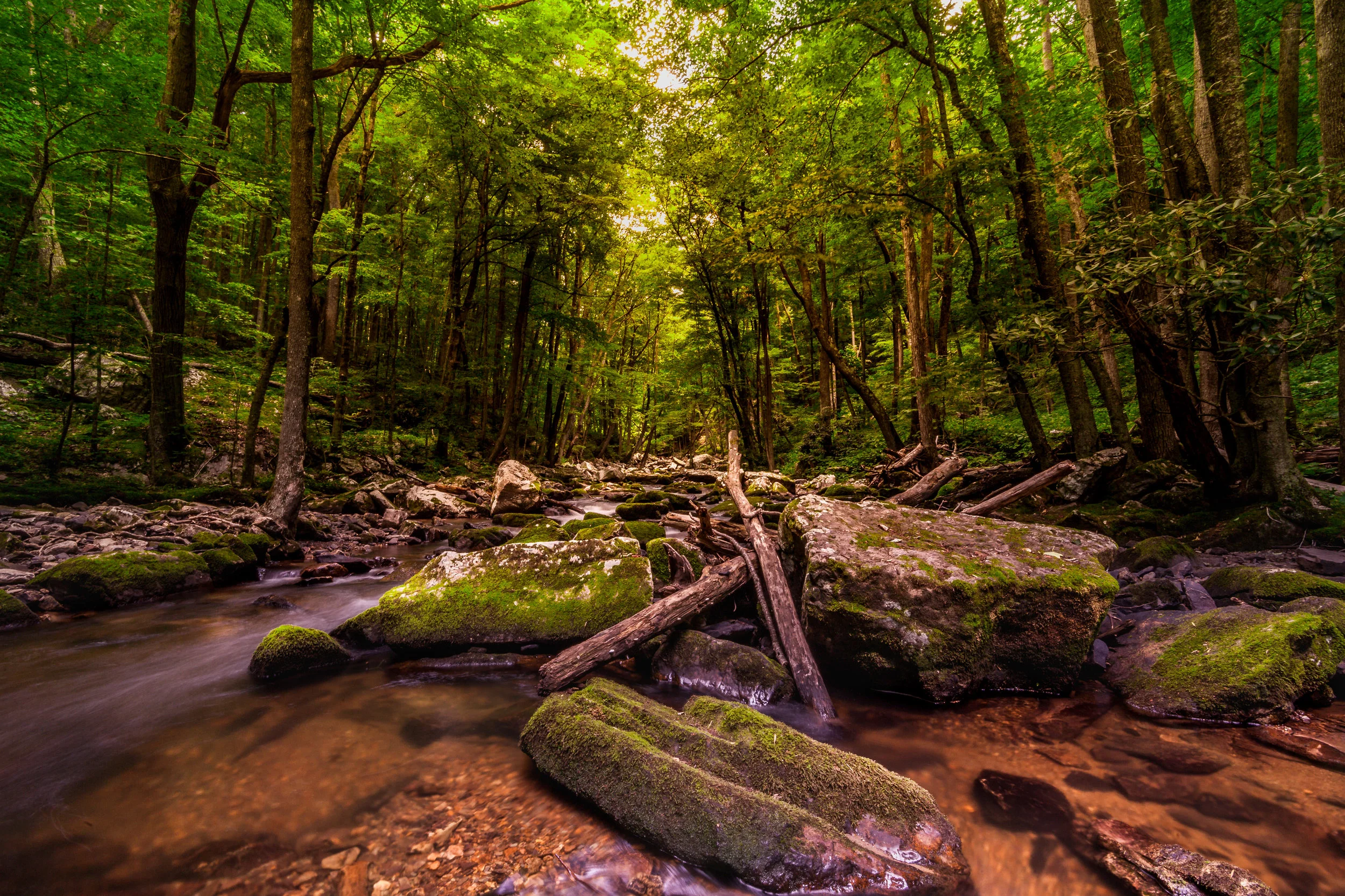 HDR 2-2.jpg