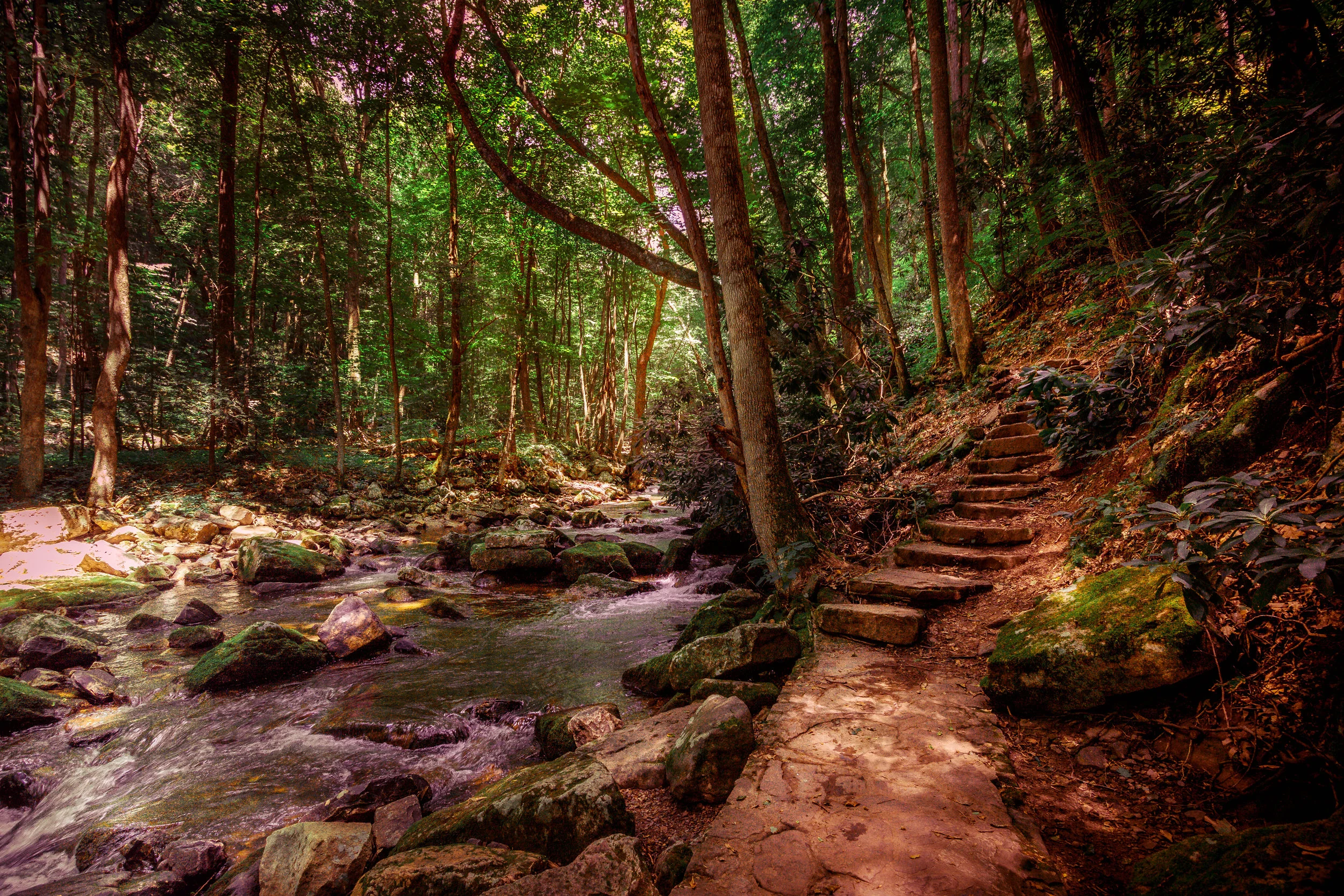HDR 4.jpg