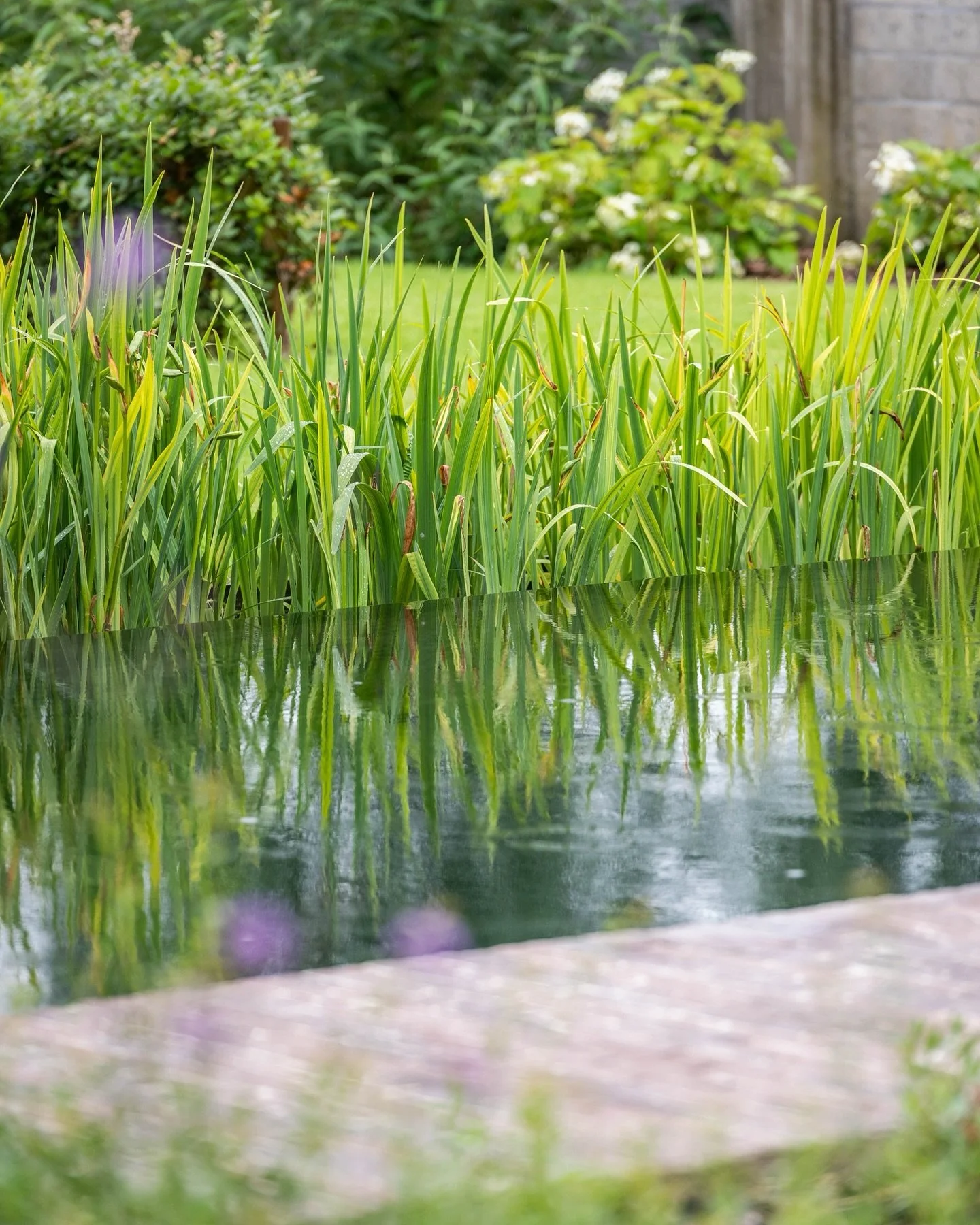 Zomerse temperaturen vragen om verkoeling... en waar beter dan in je eigen tuin! 🔆

#tuinaanleg #tuinarchitectuur #pietergyssels