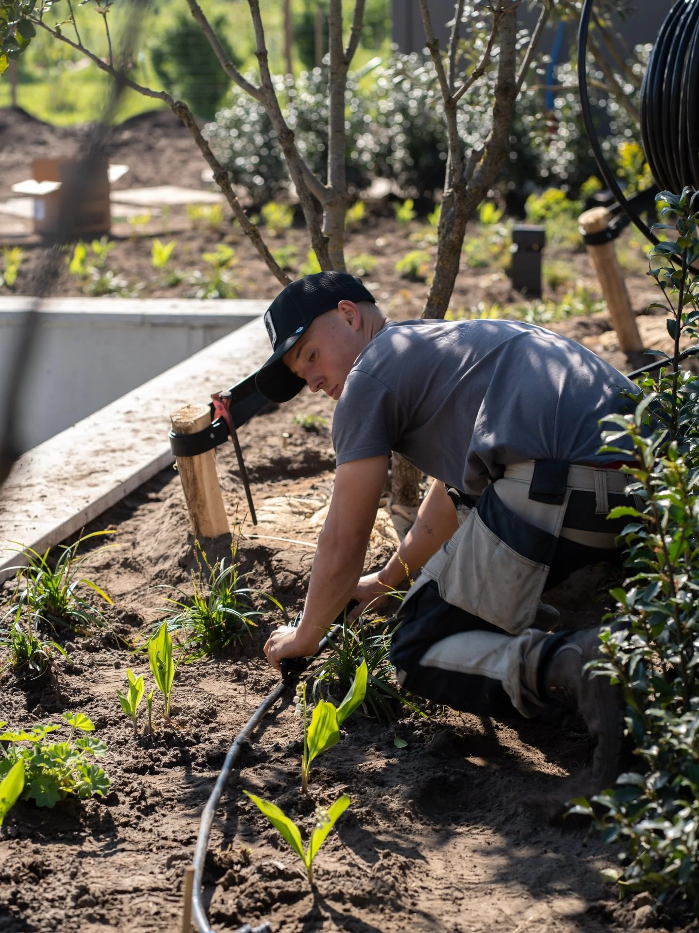 Kleine plantjes, grote dorst&hellip; maar te veel water? Dat doet vaak meer kwaad dan goed.

Met druppelirrigatie krijgt je plant precies wat ze nodig heeft: water rechtstreeks aan de wortels, zonder verspilling. Minder verdamping en tot wel 80% wate