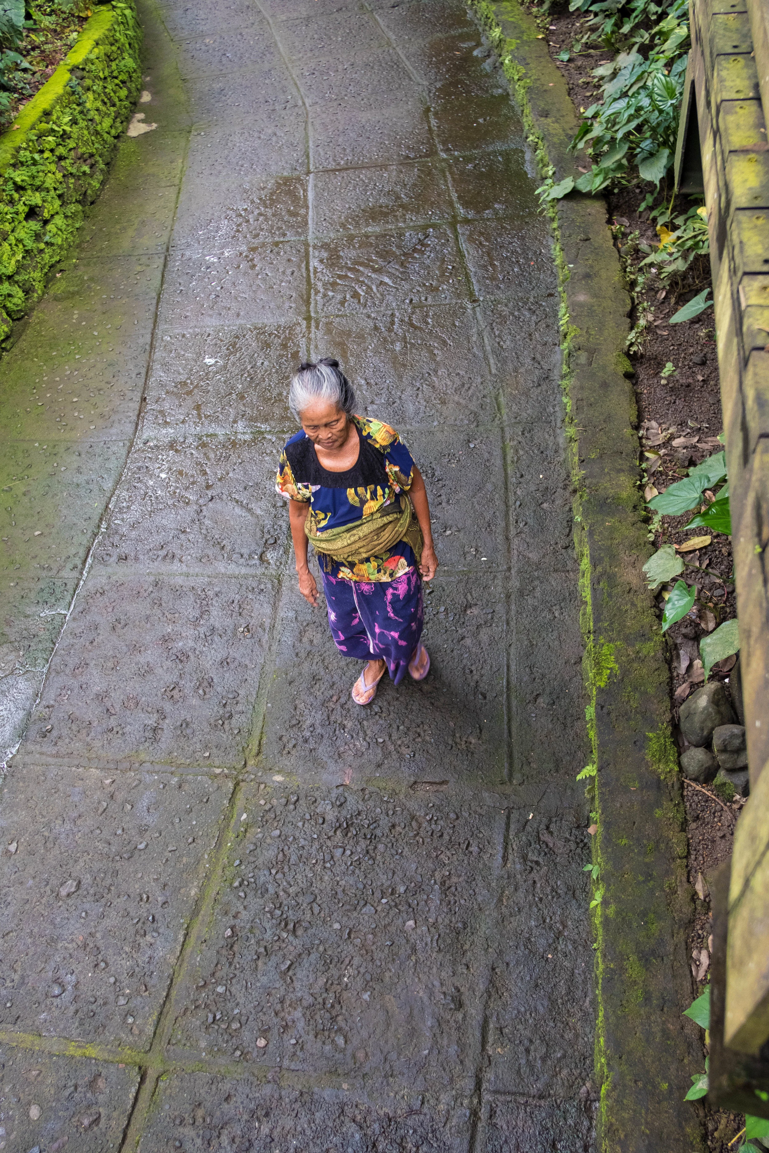Woman walking in the monkey forest in Ubud, Bali, Indonesia.