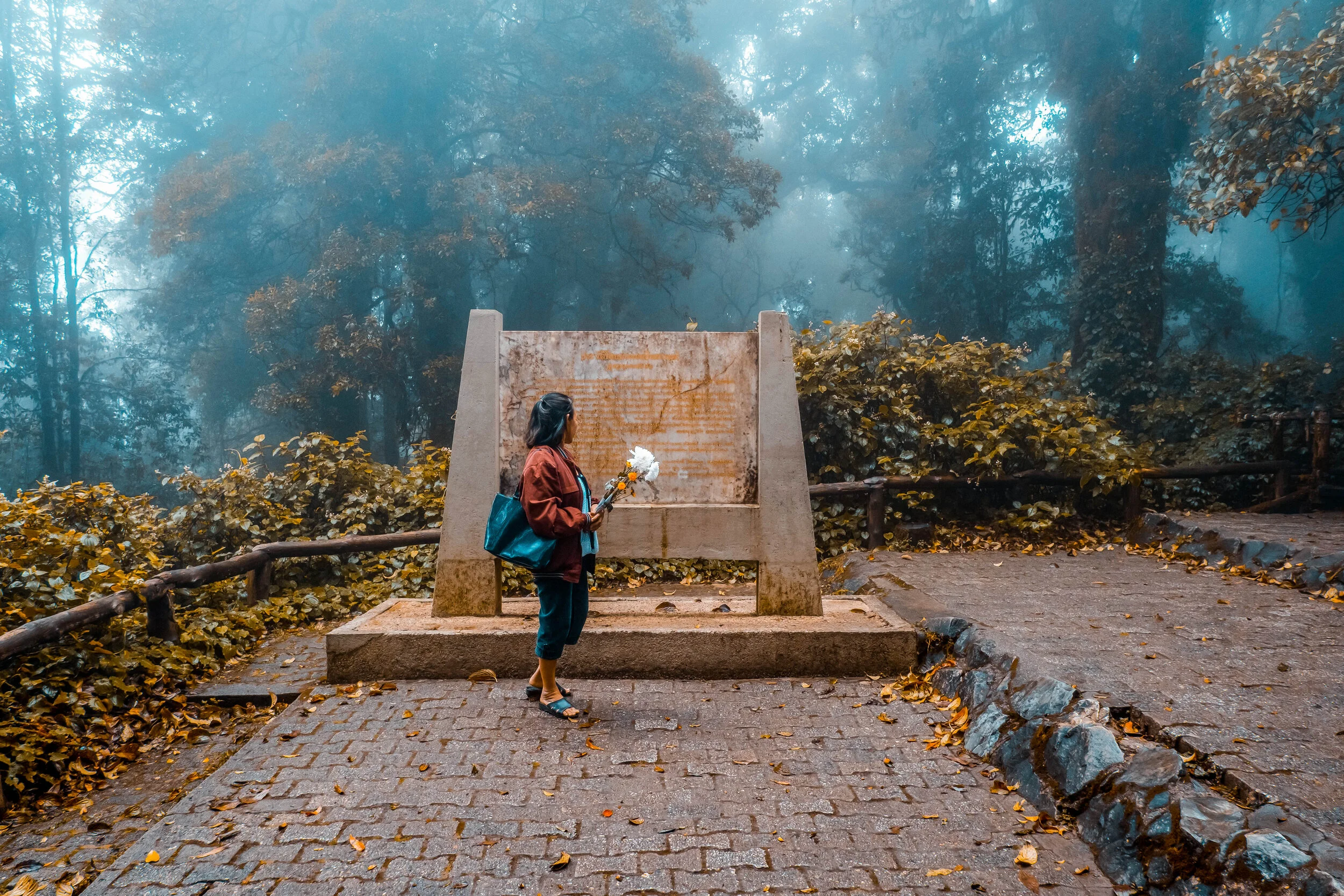 Woman at the Cloud Forest in Doi Inthanon National Park, CHiang Mai, Thailand.