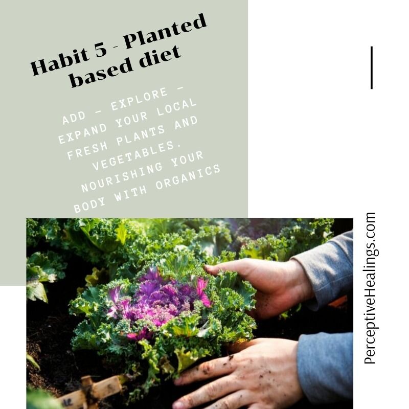 PhBThabit5plants.jpg