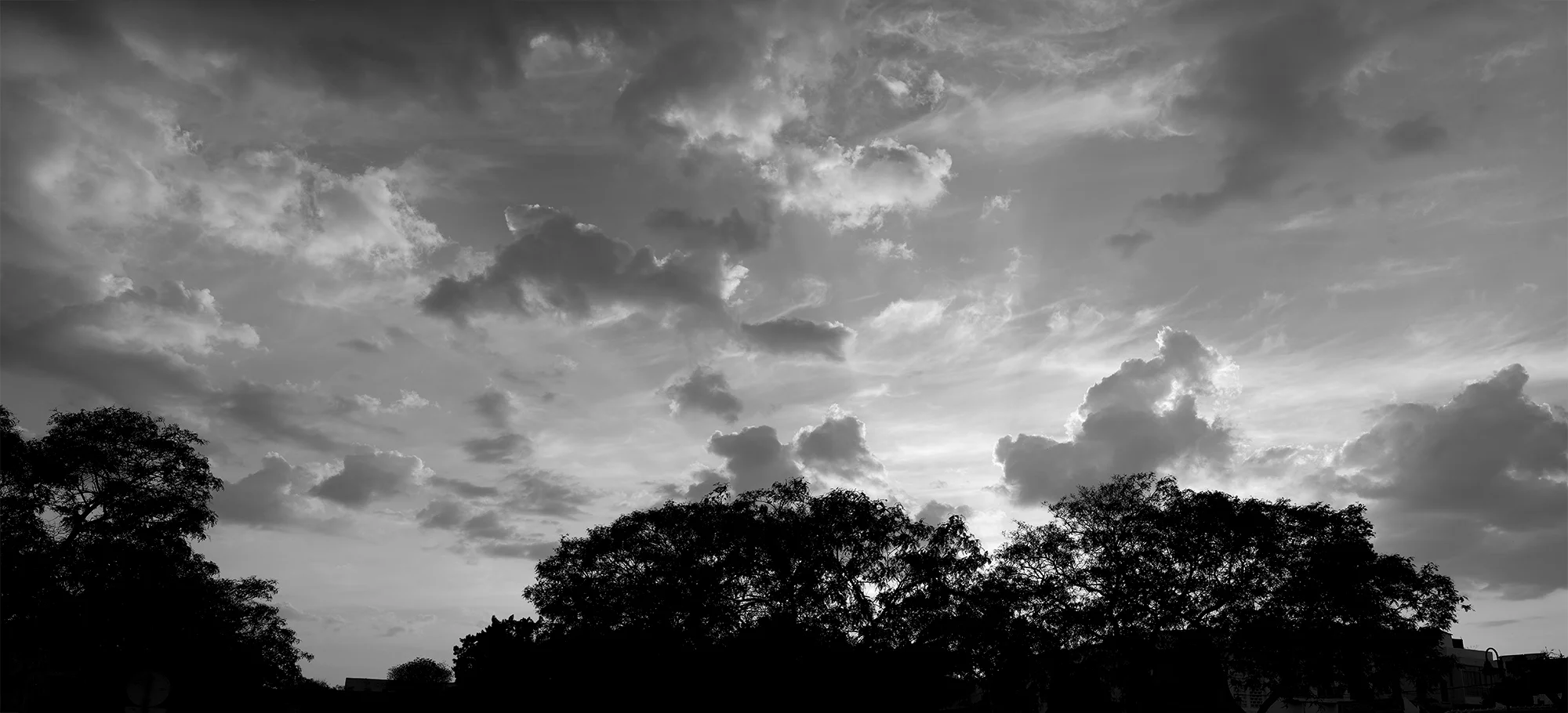 © Rodrigo Cabral Faro 2016