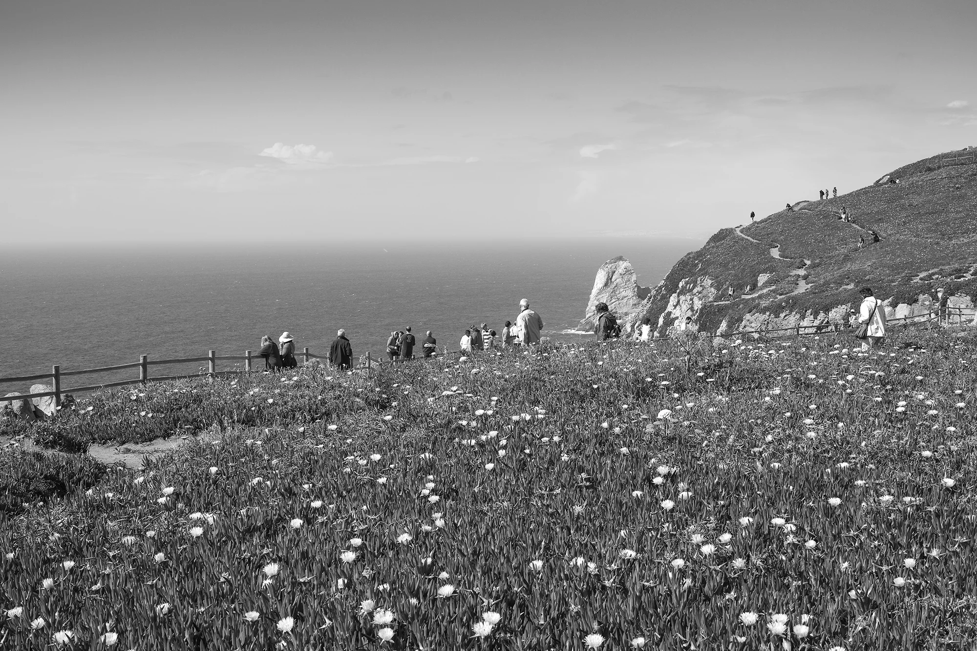 © Rodrigo Cabral Cabo da Roca 2016