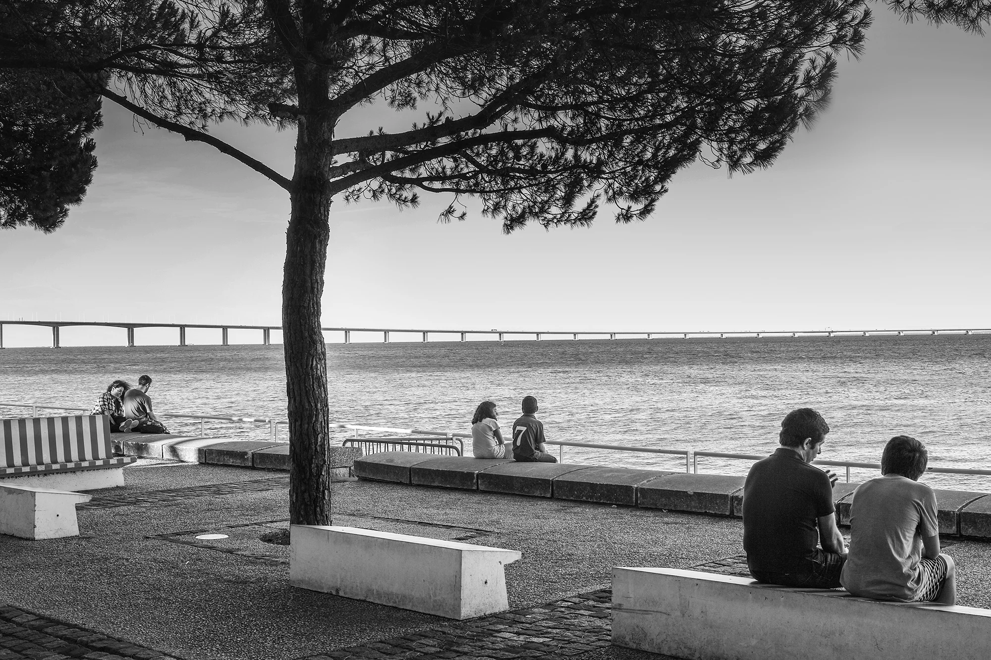© Rodrigo Cabral Lisboa 2016