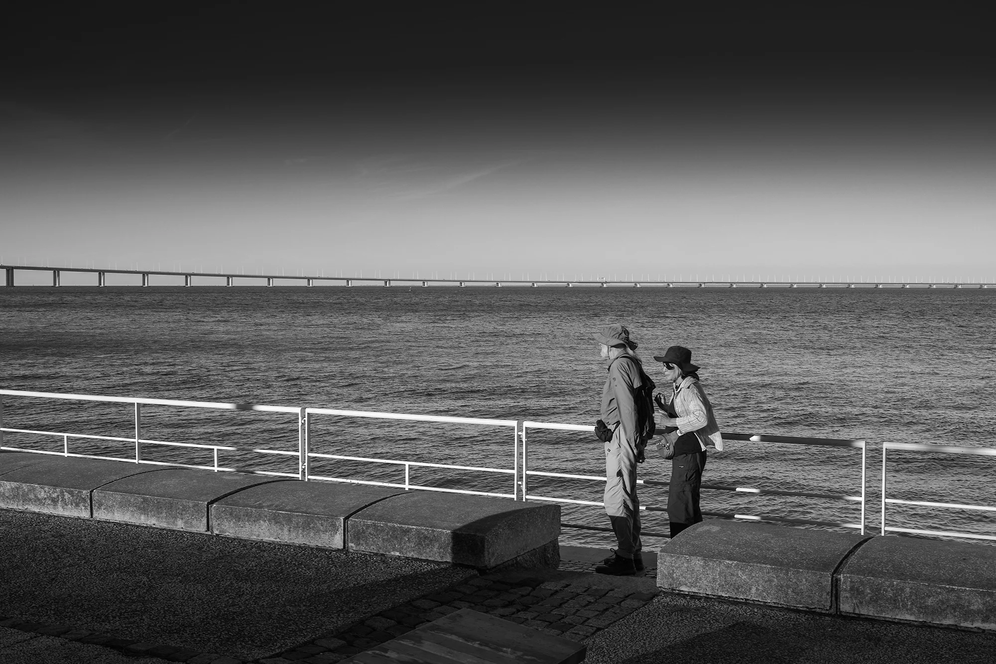 © Rodrigo Cabral Lisboa 2016