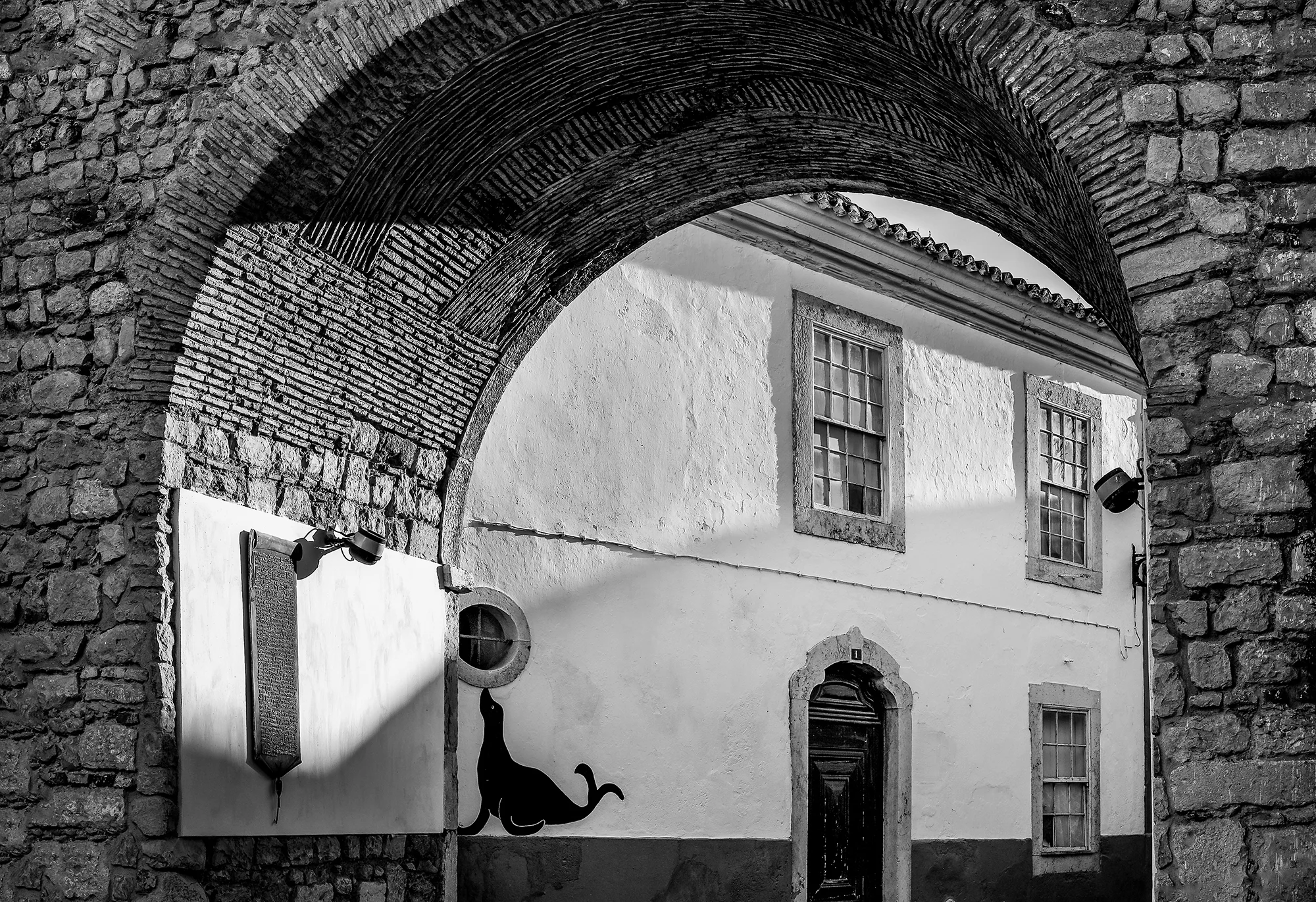 © Rodrigo Cabral Faro 2016