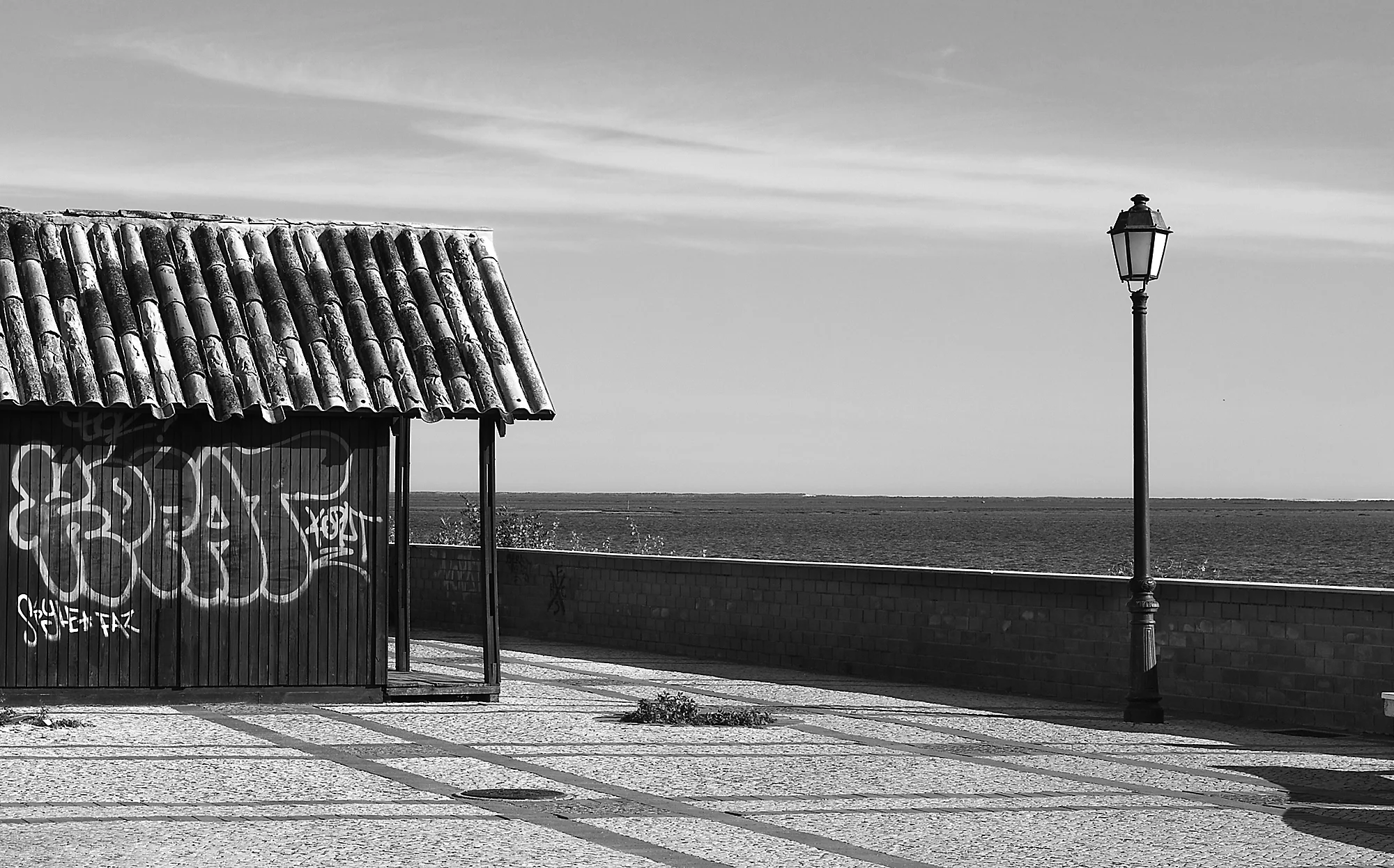 © Rodrigo Cabral Faro 2016