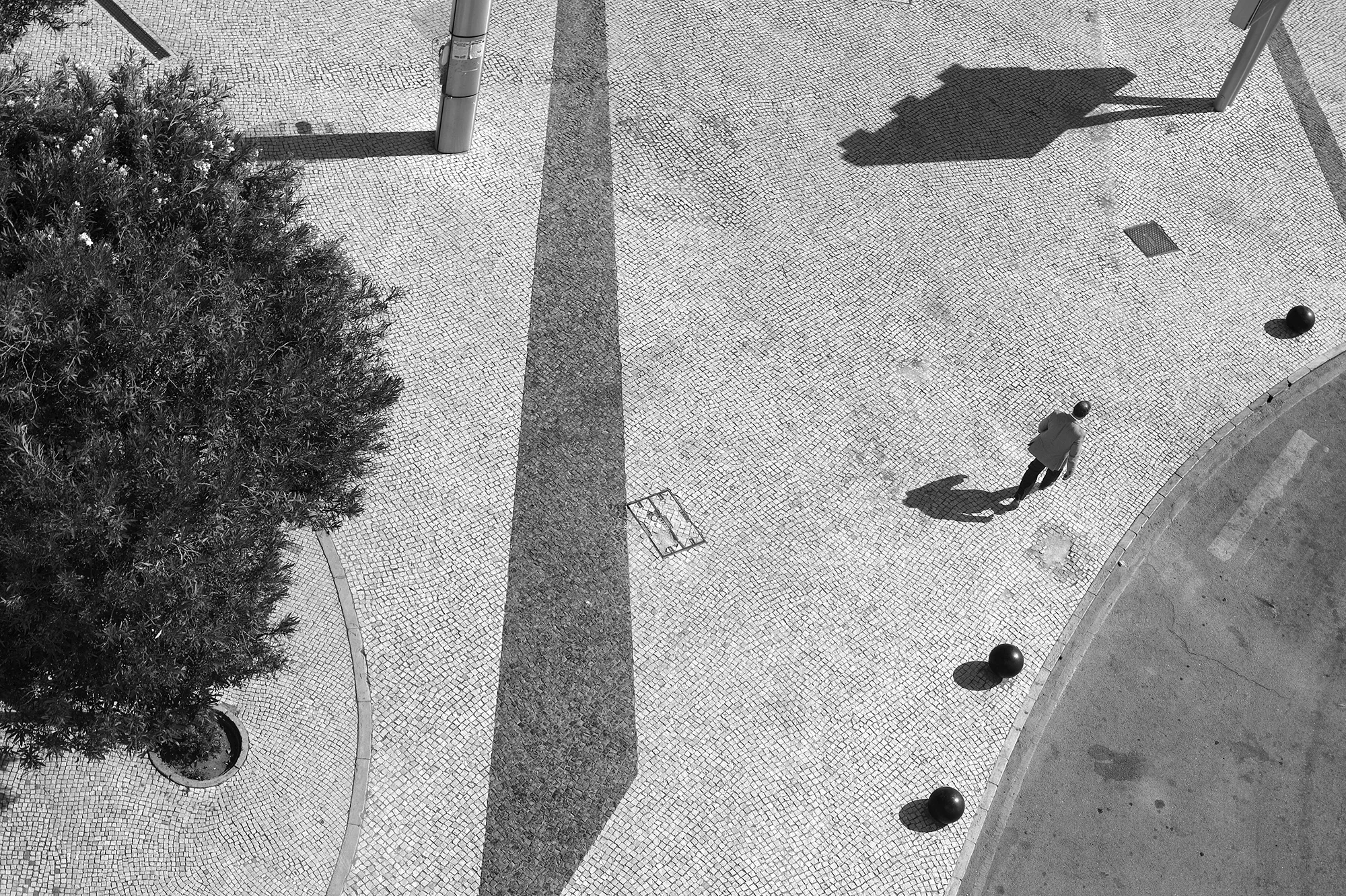 © Rodrigo Cabral Faro 2016
