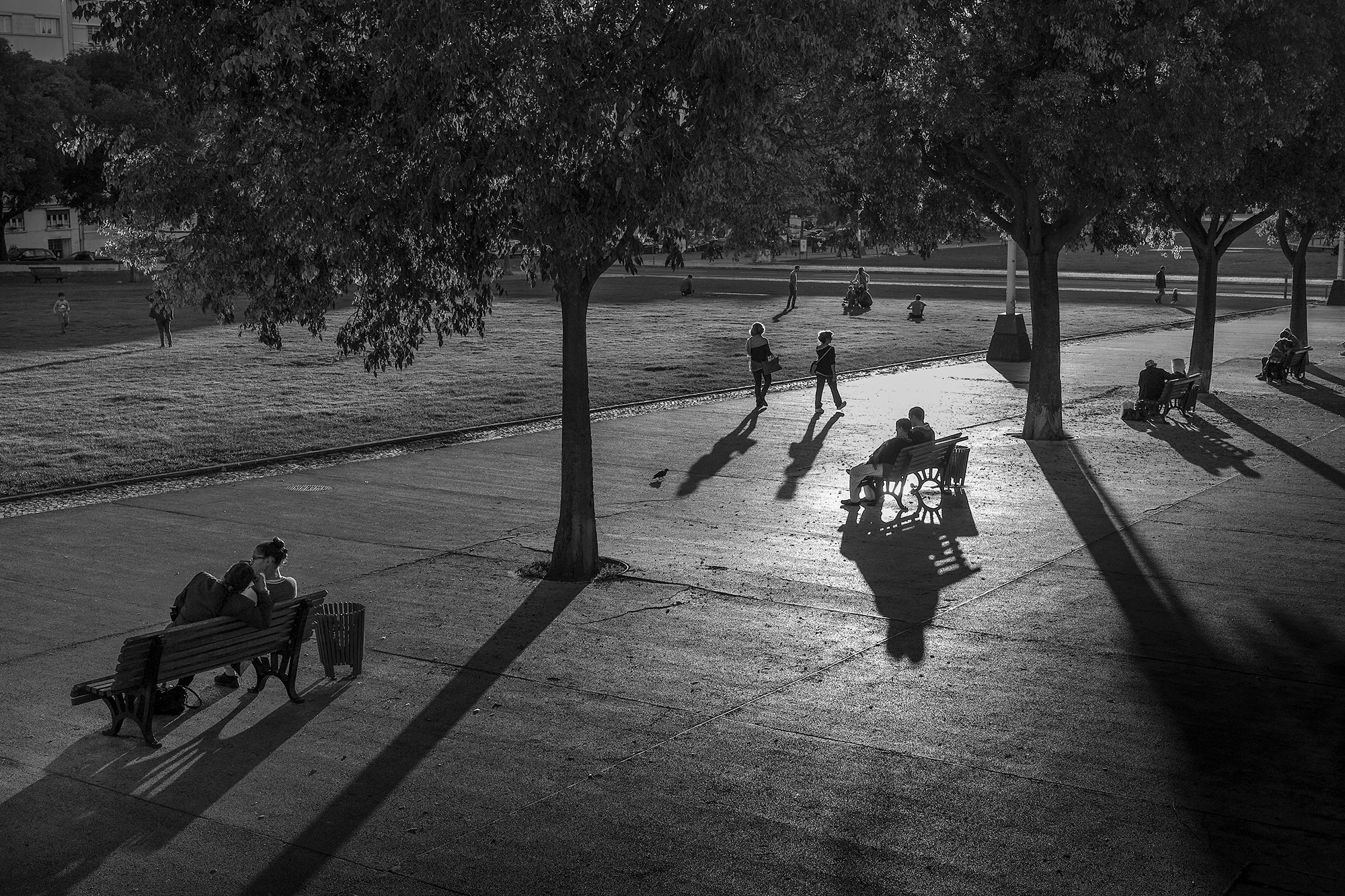 © Rodrigo Cabral Lisboa 2016