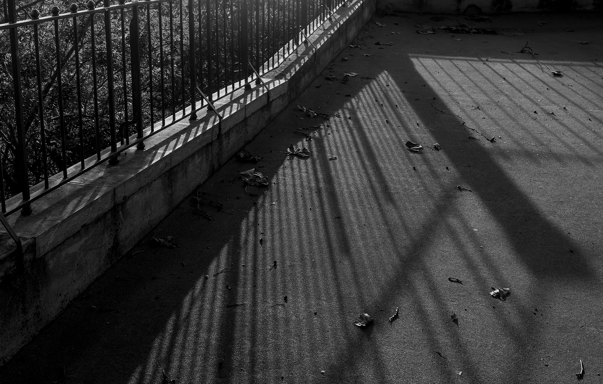 © Rodrigo Cabral Lisboa 2016