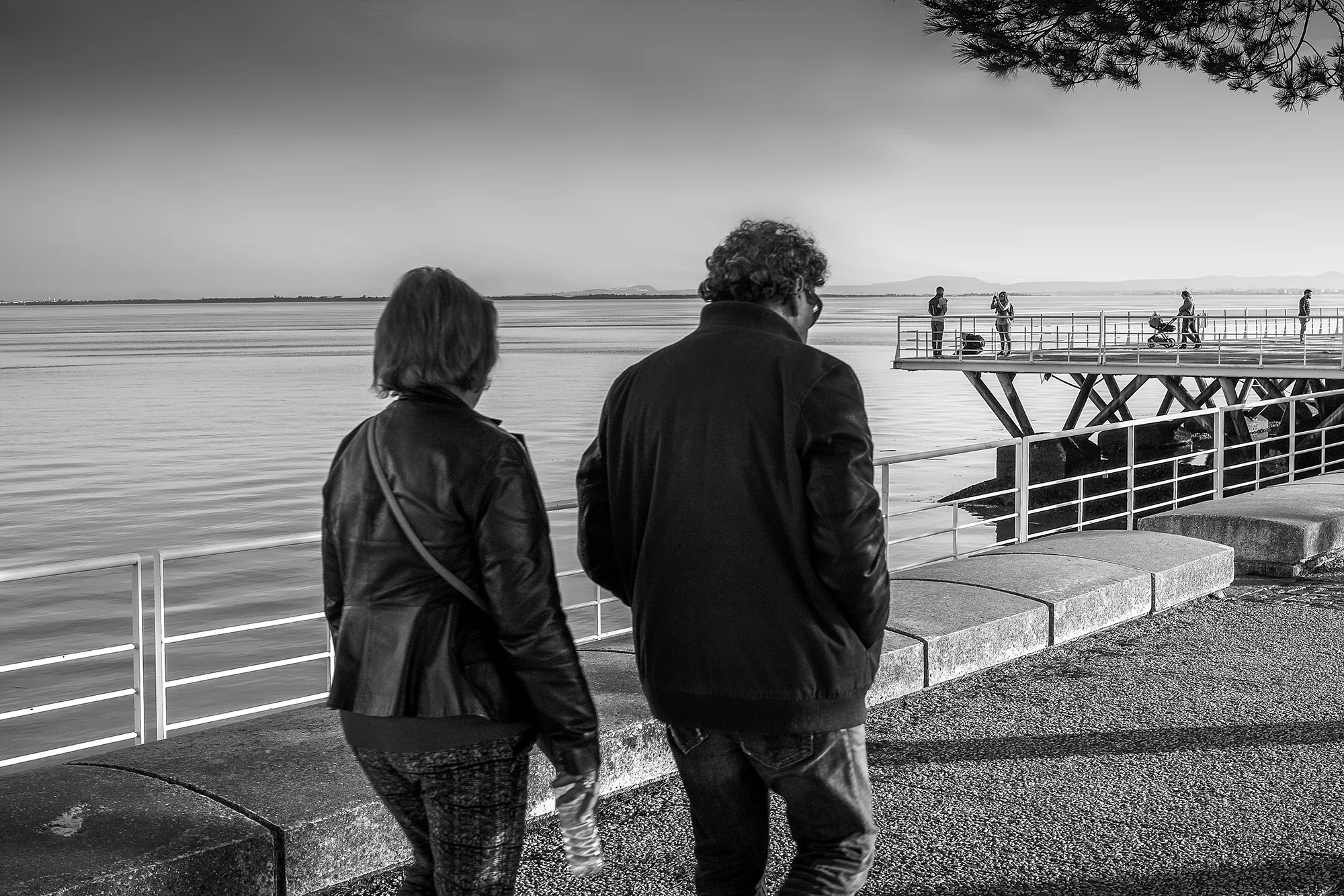 © Rodrigo Cabral Lisboa 2016