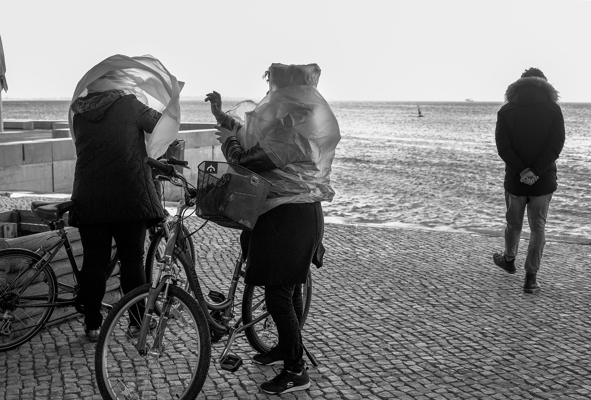 © Rodrigo Cabral Lisboa 2017
