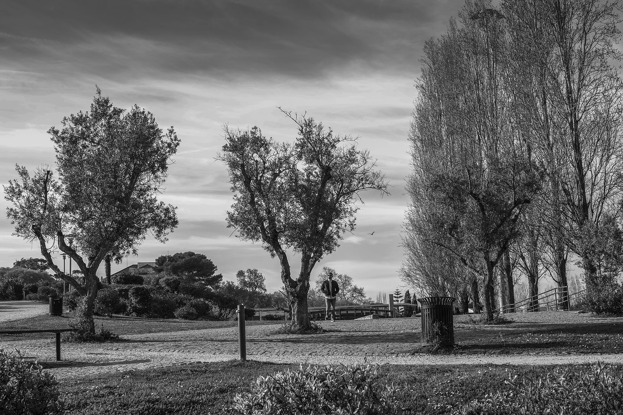 © Rodrigo Cabral Lisboa 2017