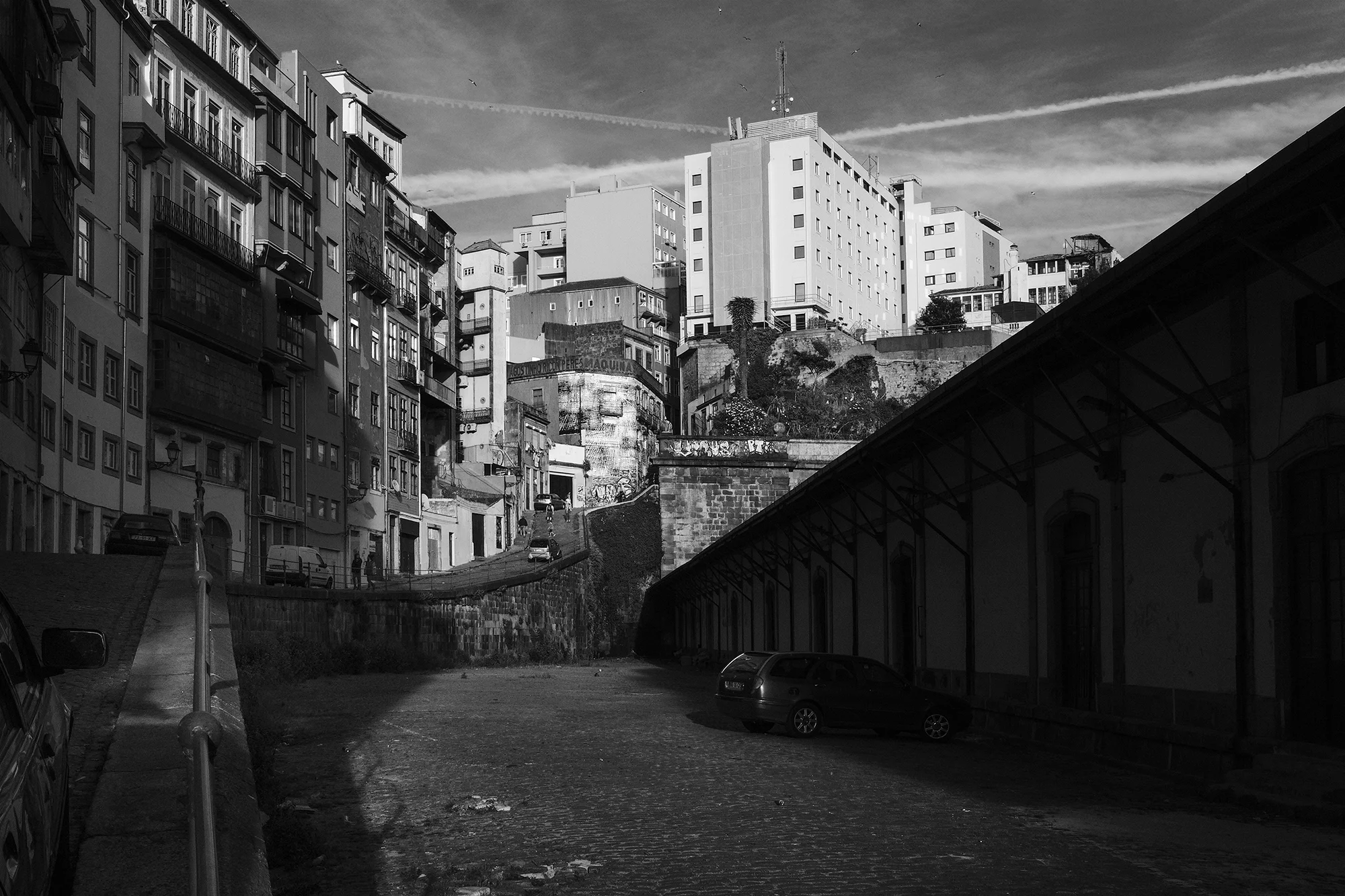 © Rodrigo Cabral Porto 2017
