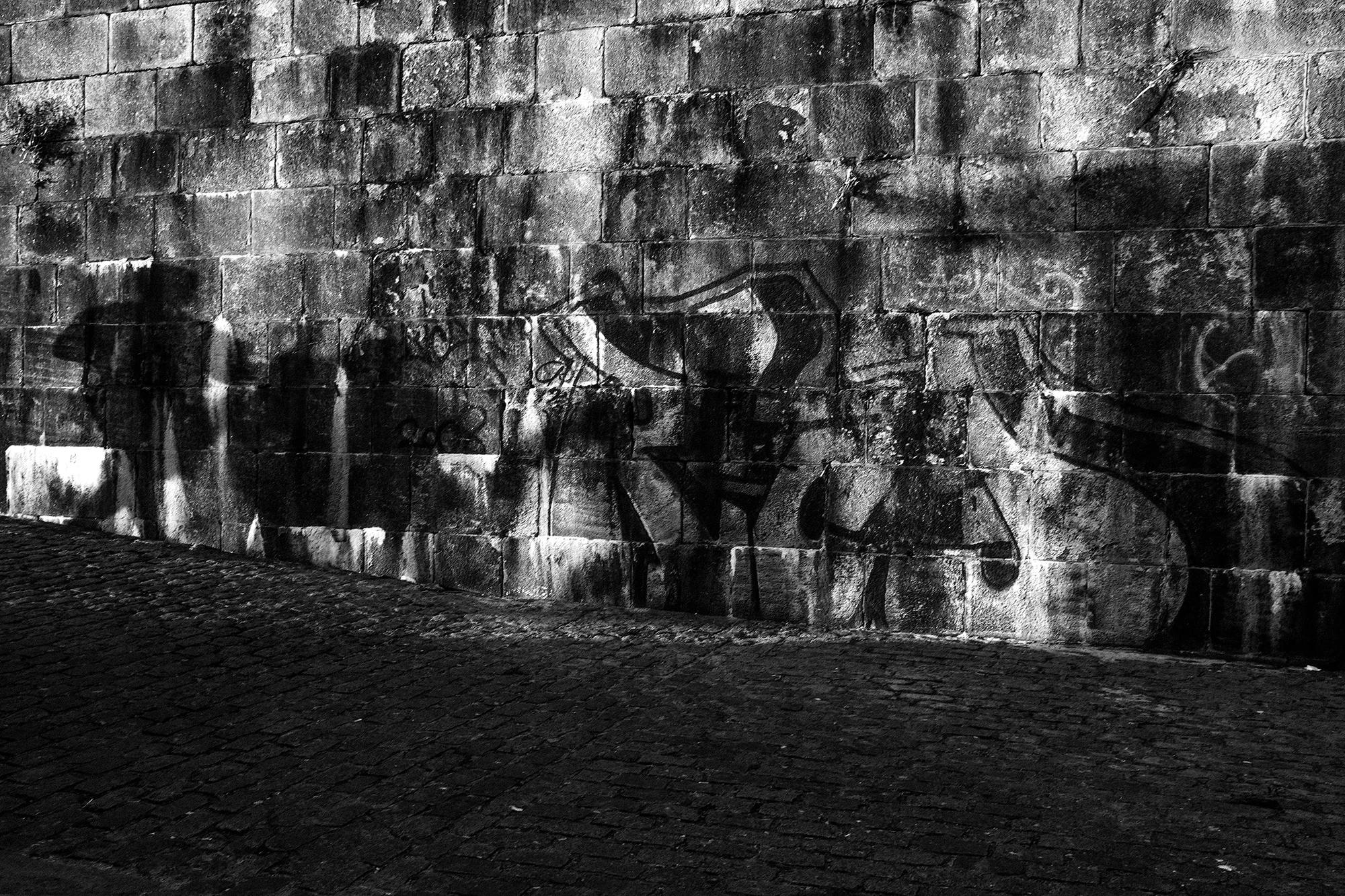 © Rodrigo Cabral Porto 2017
