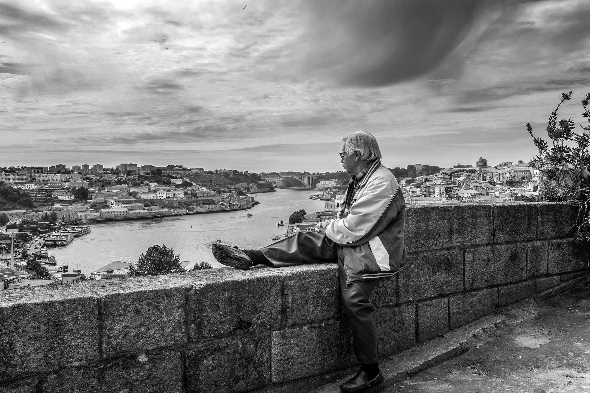 © Rodrigo Cabral Porto 2017