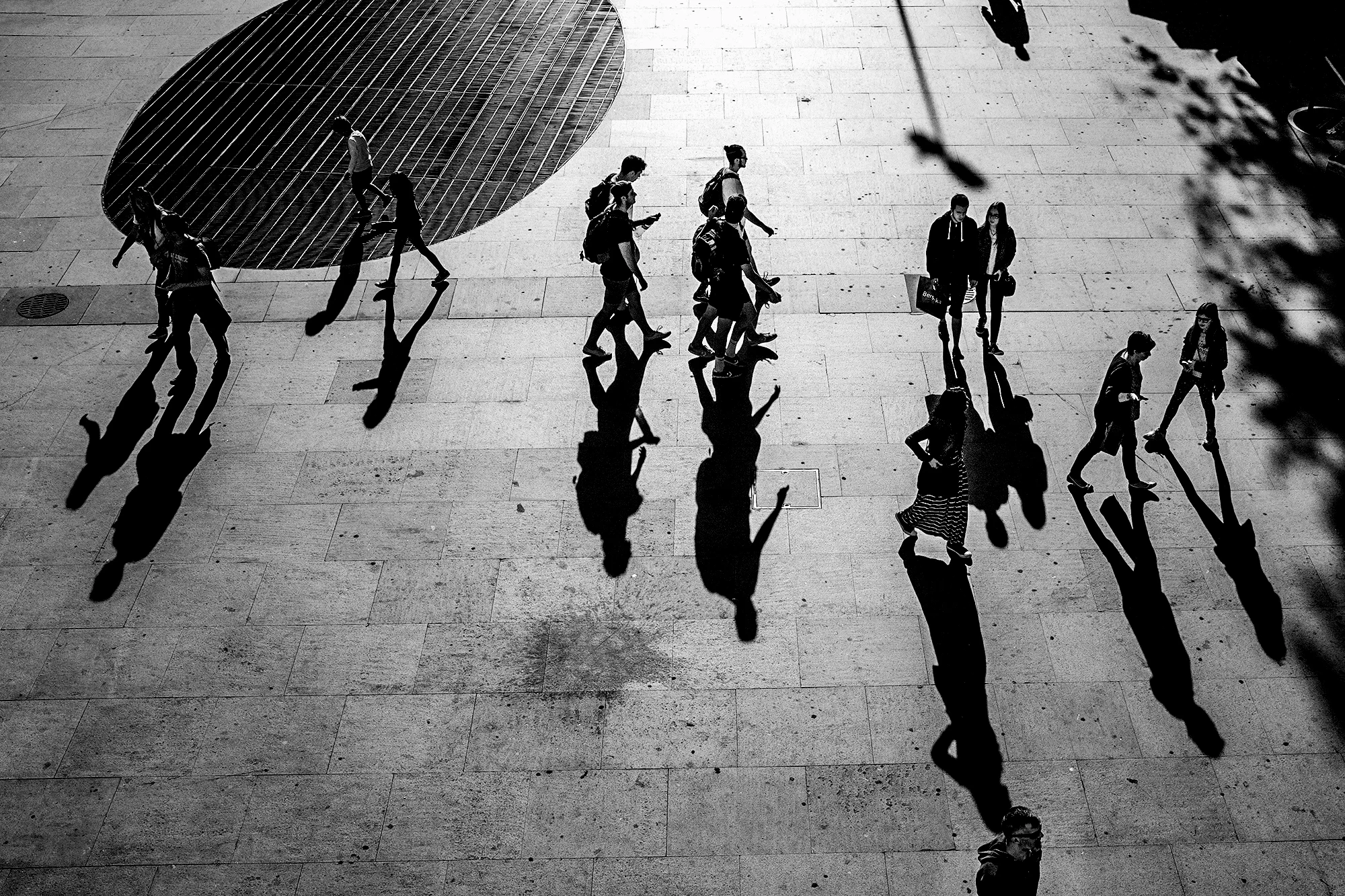 © Rodrigo Cabral Porto 2017