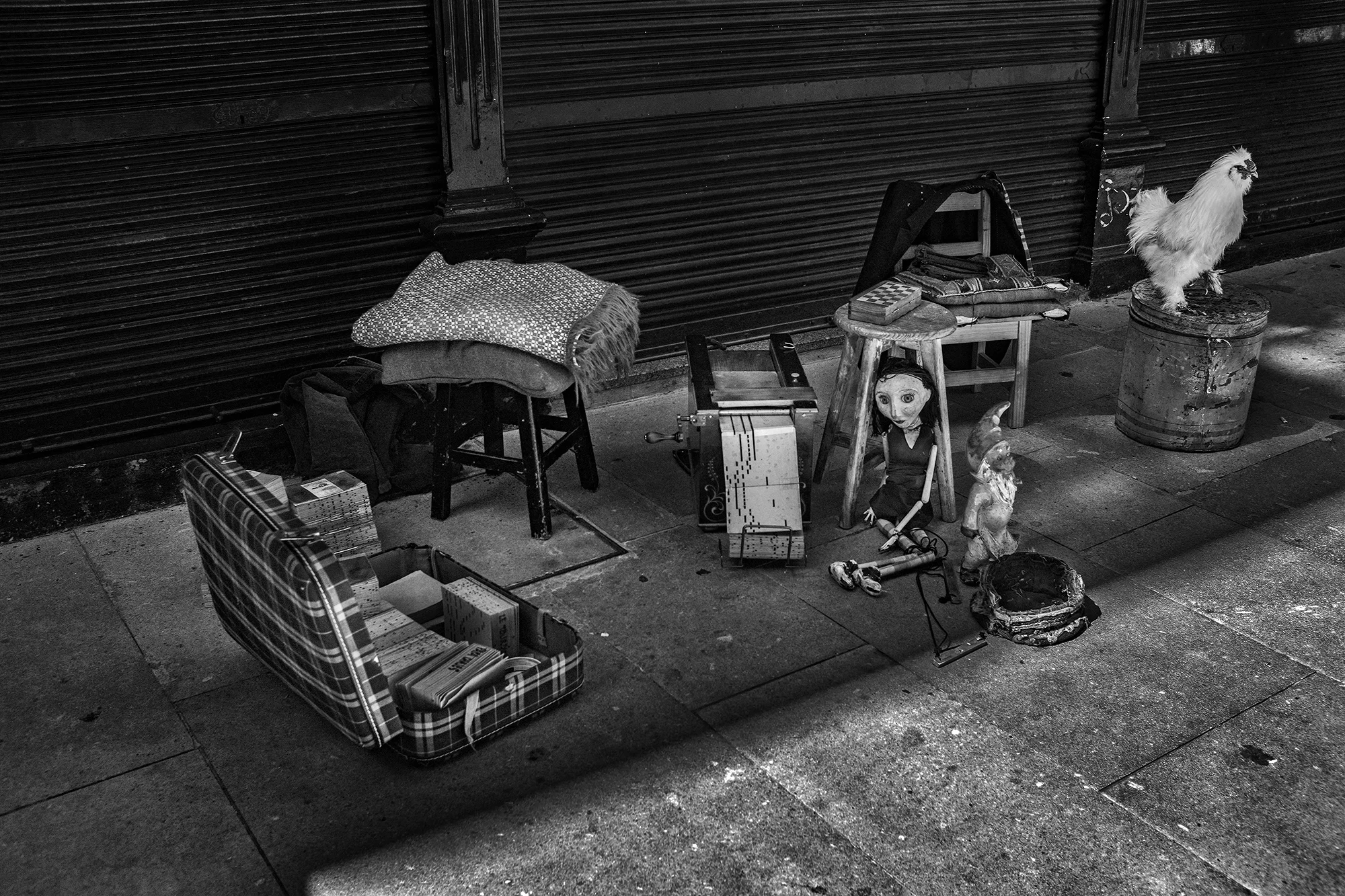 © Rodrigo Cabral Porto 2017