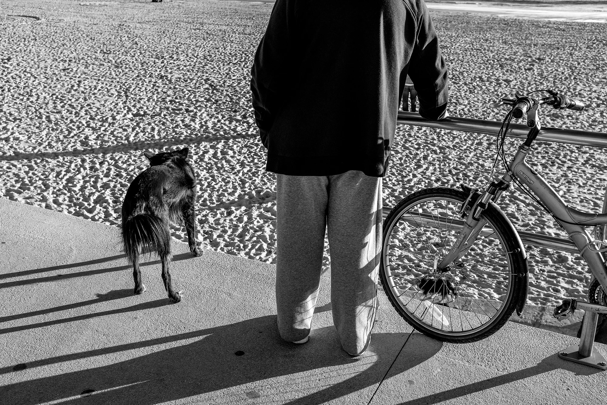 © Rodrigo Cabral Carcavelos 2017