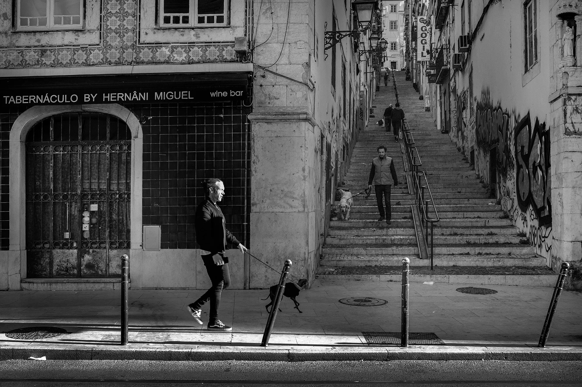 © Rodrigo Cabral Lisboa 2019