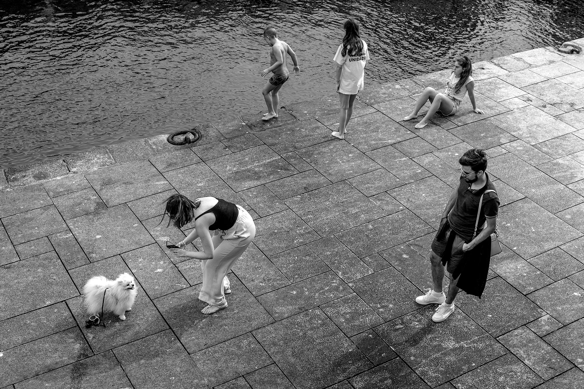 © Rodrigo Cabral Porto 2019