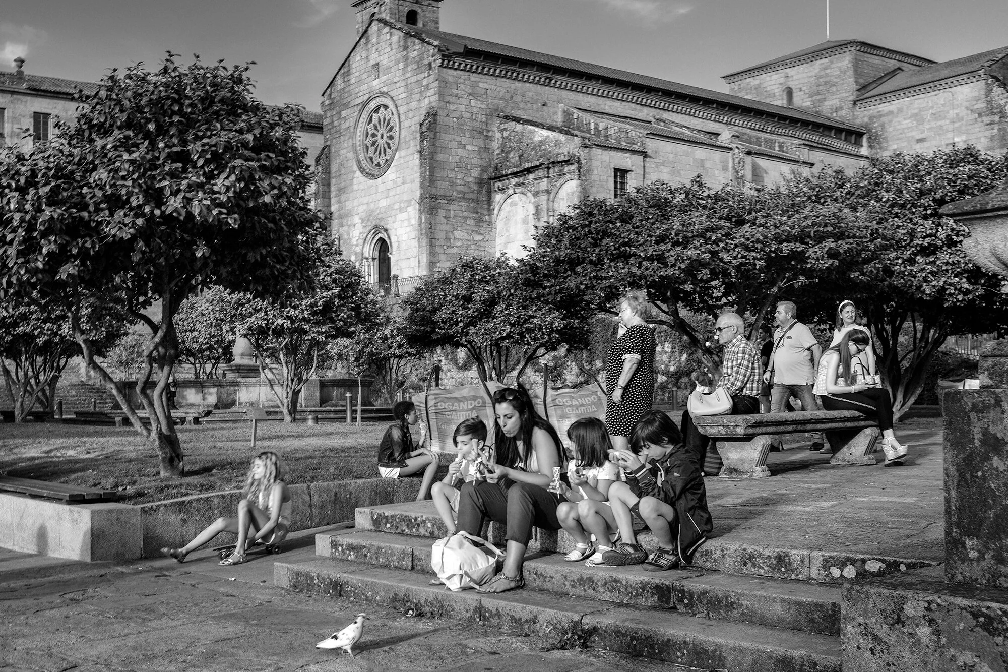 © Rodrigo Cabral Pontevedra 2019