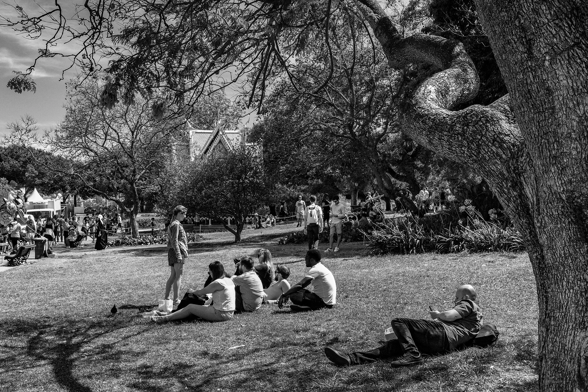 © Rodrigo Cabral Lisboa 2019