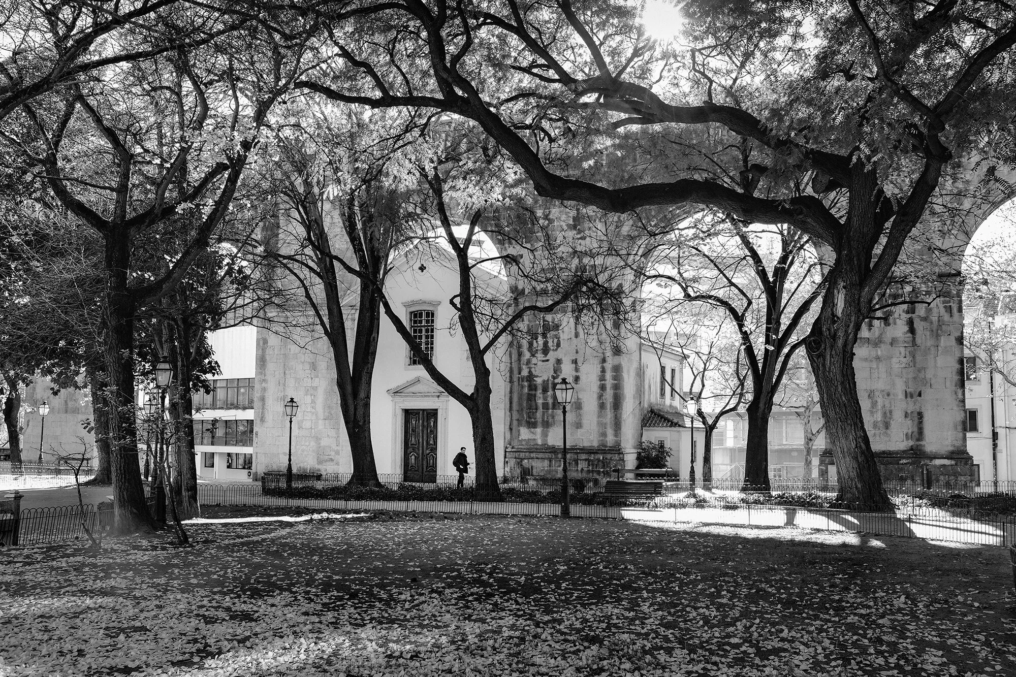 © Rodrigo Cabral Lisboa 2019