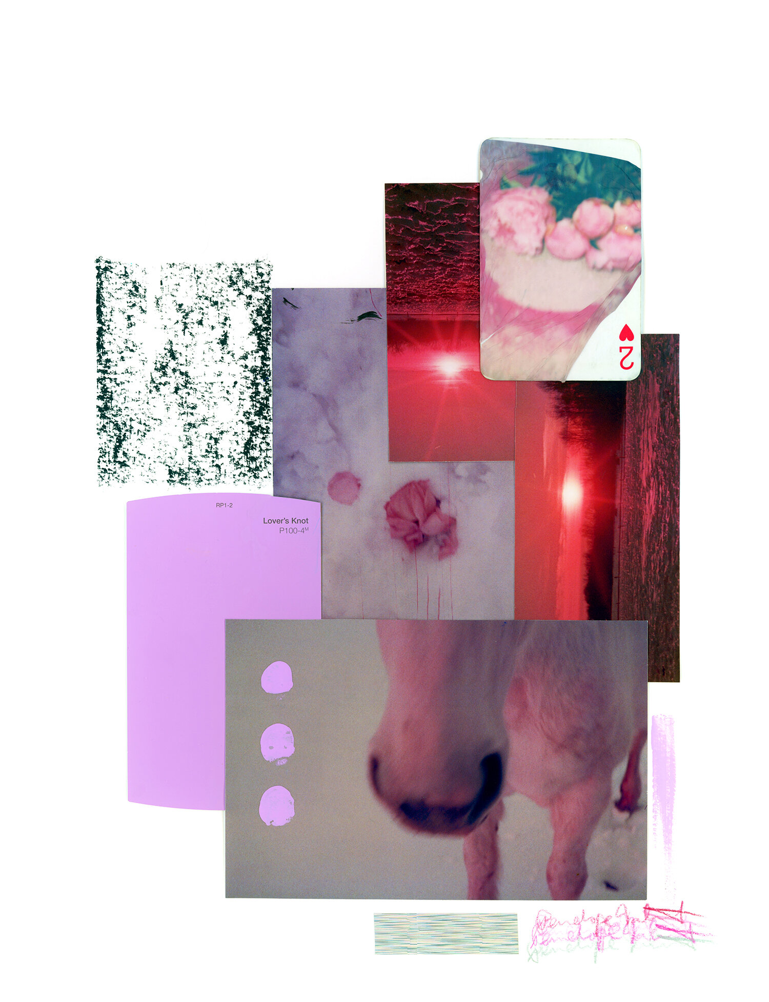 envisaged rs.jpg
