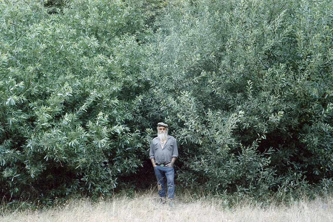 Scan 44rs.jpg