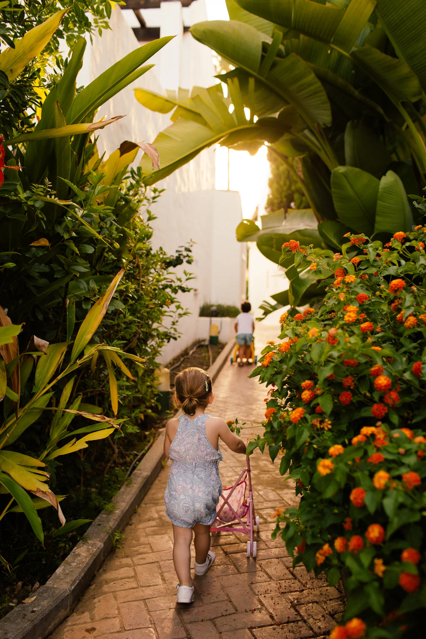 paseo-1.jpg
