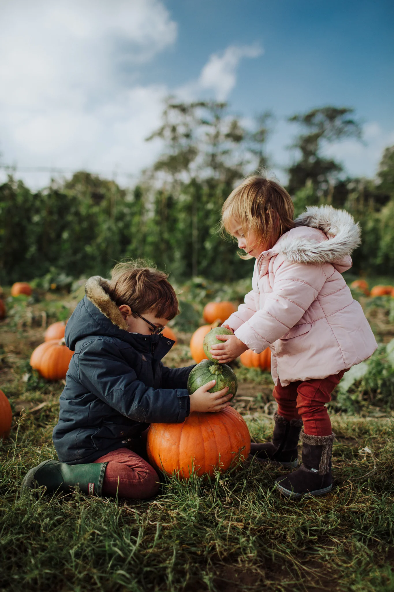 pumpkin-3.jpg