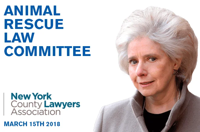 NEW YORK COUNTY LAWYERS ASSOCIATION