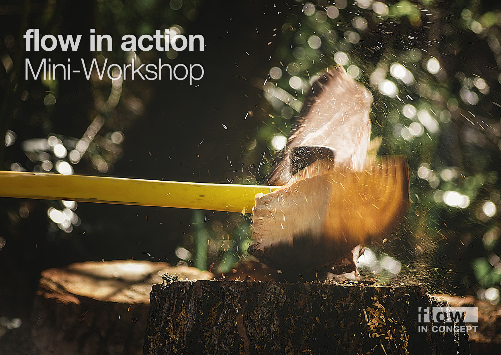 flow in action | Mini-Workshop