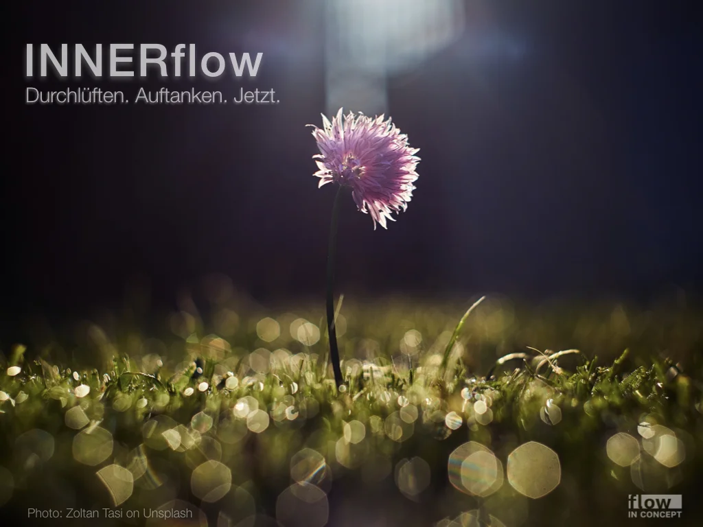 INNERflow Seminar