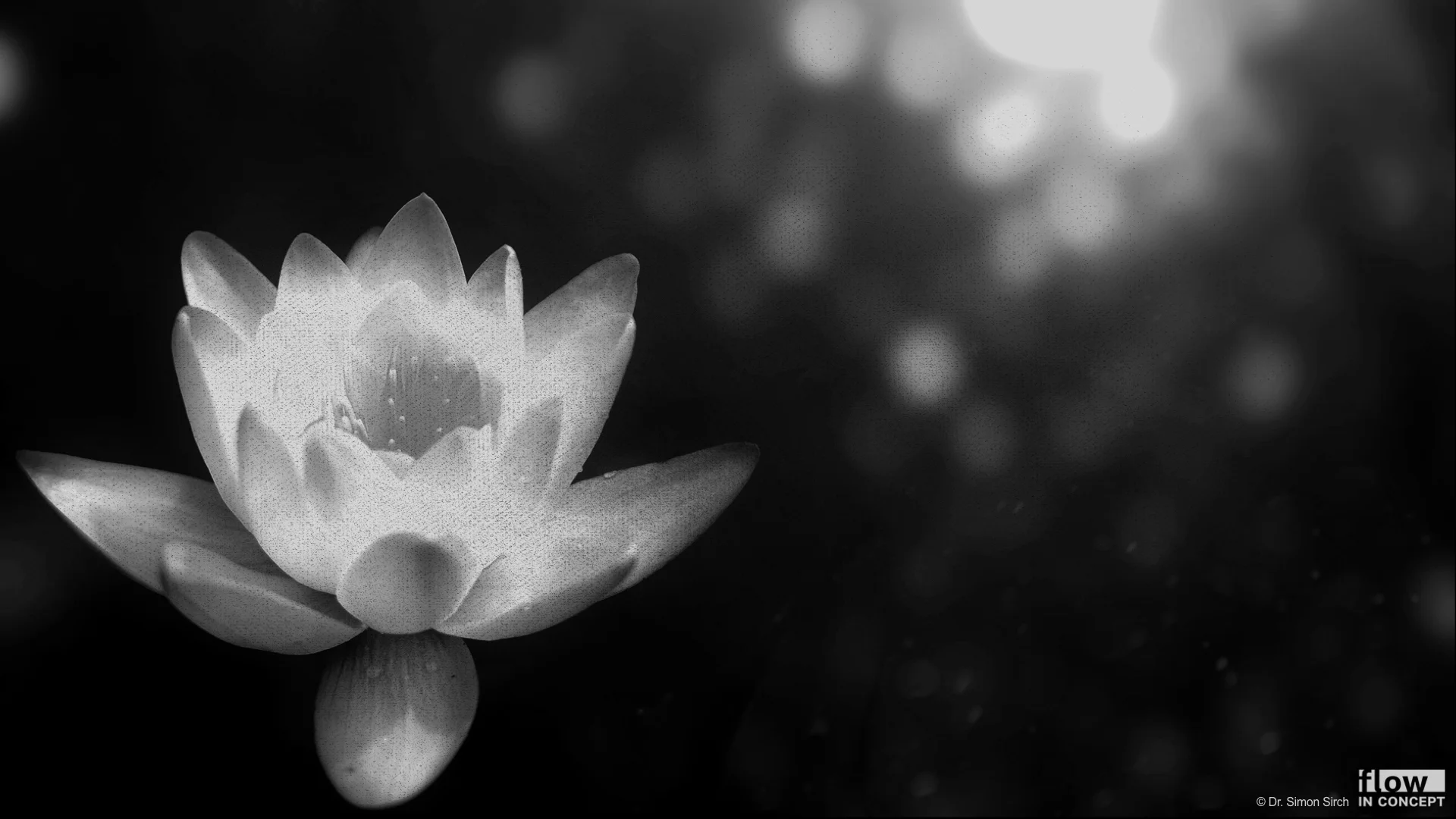 Megatrend Achtsamkeit – Beachten Sie Grenzen und Gefahren?