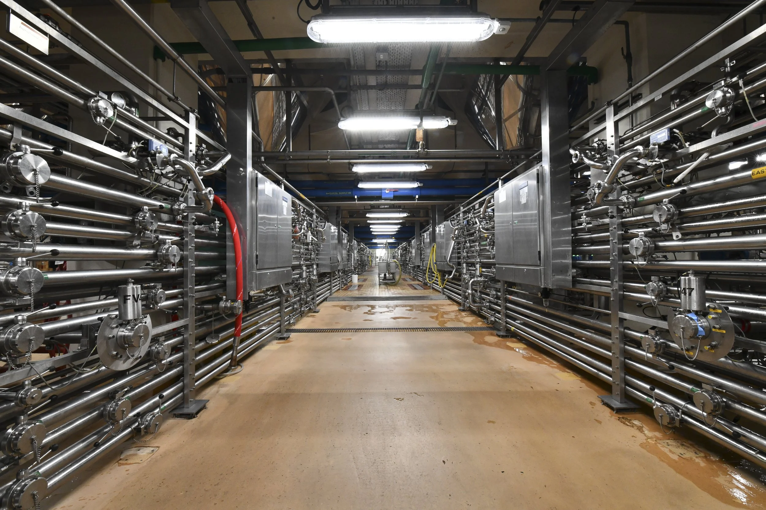 Arete-NBB-FTC Cellar 007.JPG