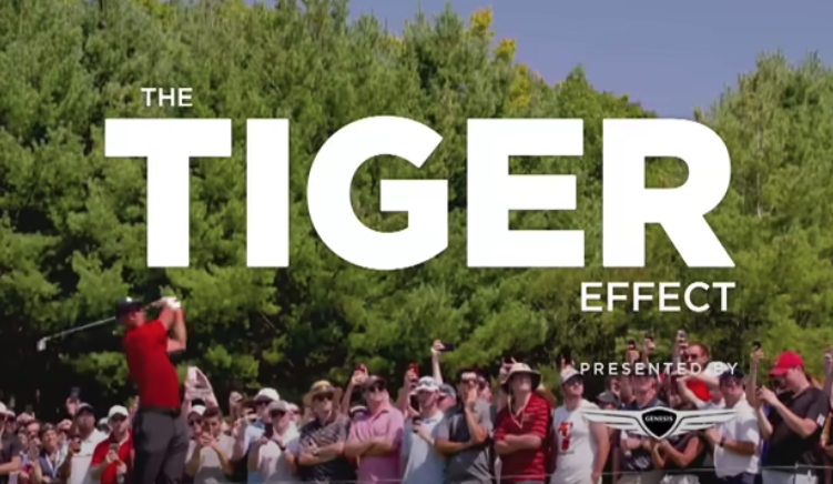 The Tiger Effect