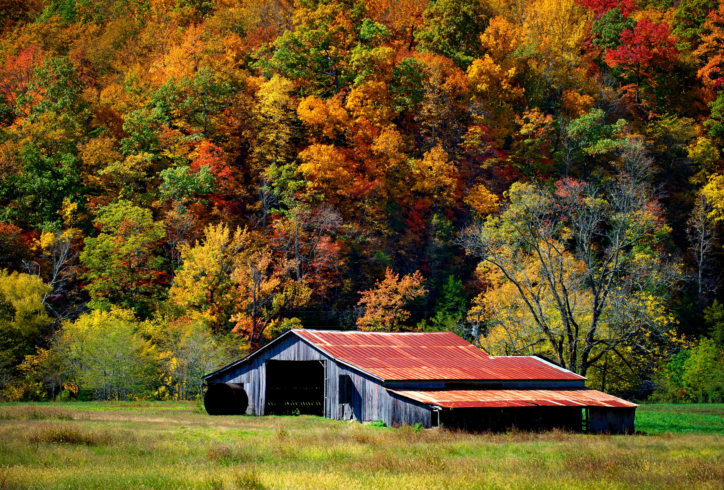 DSC_3985-Edit.jpg