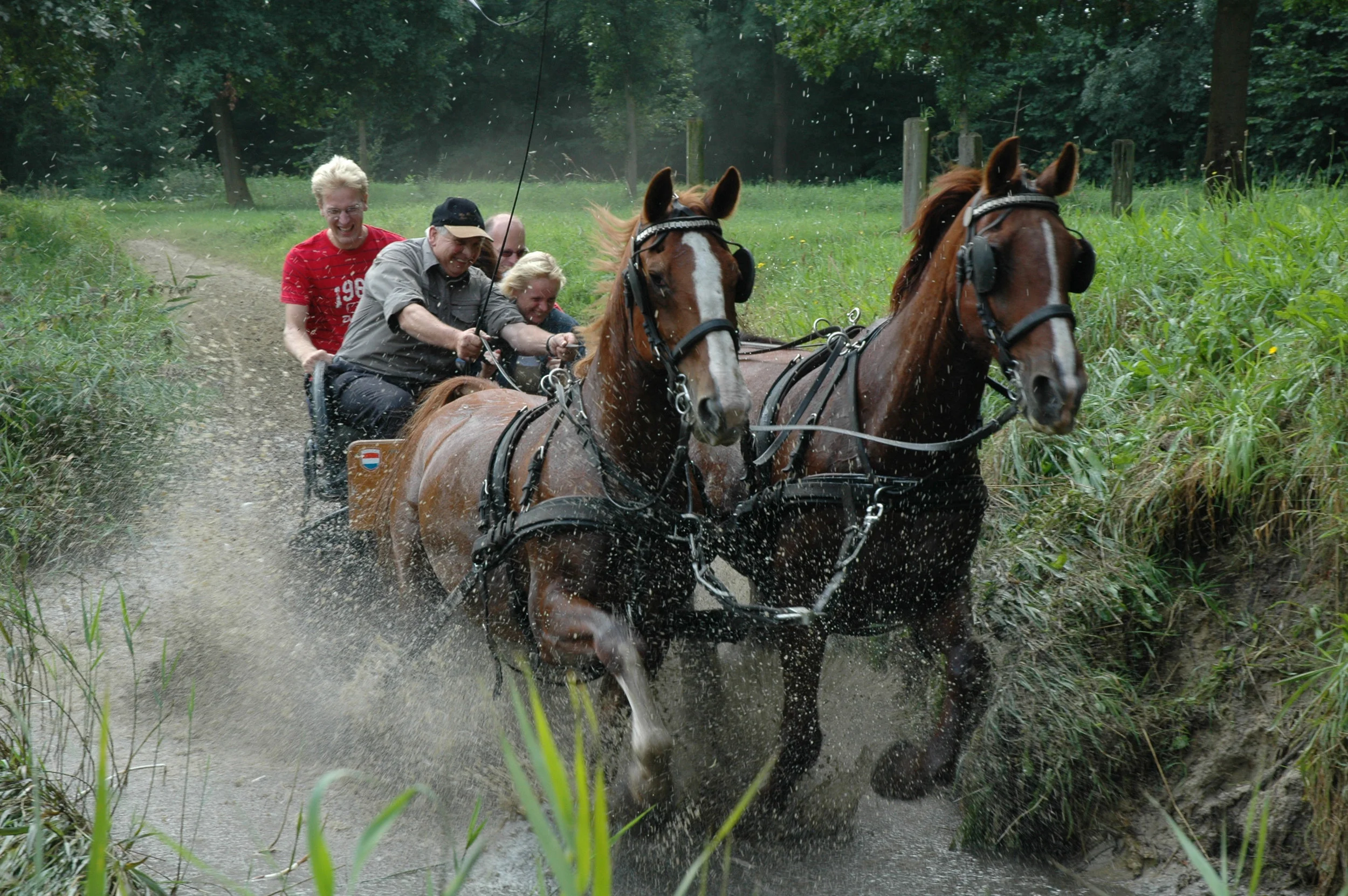Paarden mennen BuitenBusiness (18).jpg