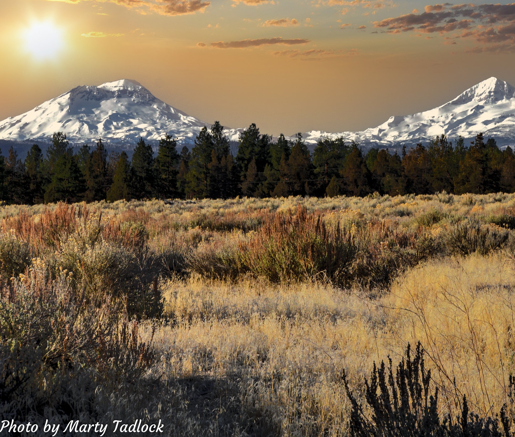 DSC03517_8_9-Edit-4.jpg