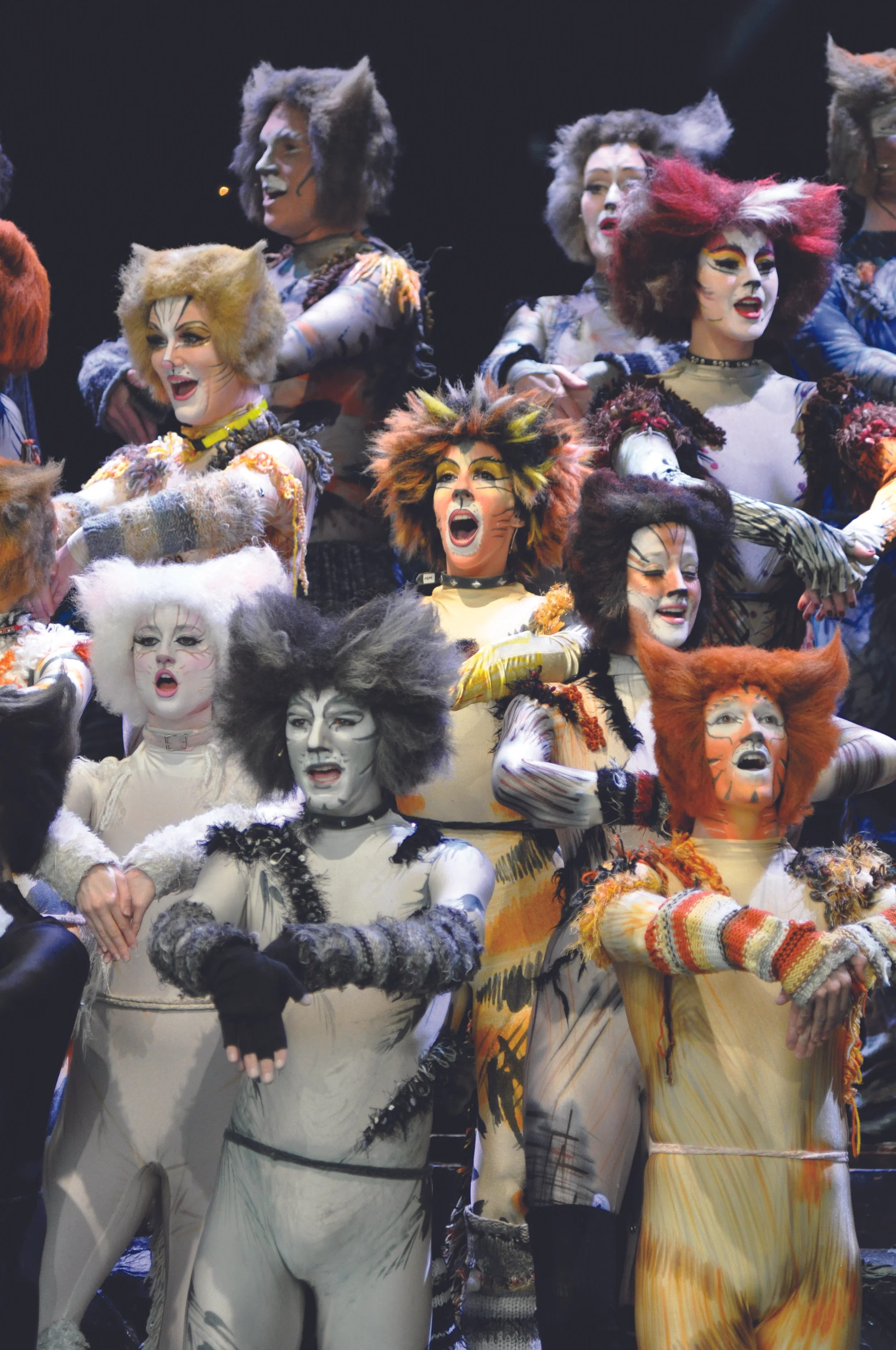 Members of the Ensemble, Cats 2011.jpg