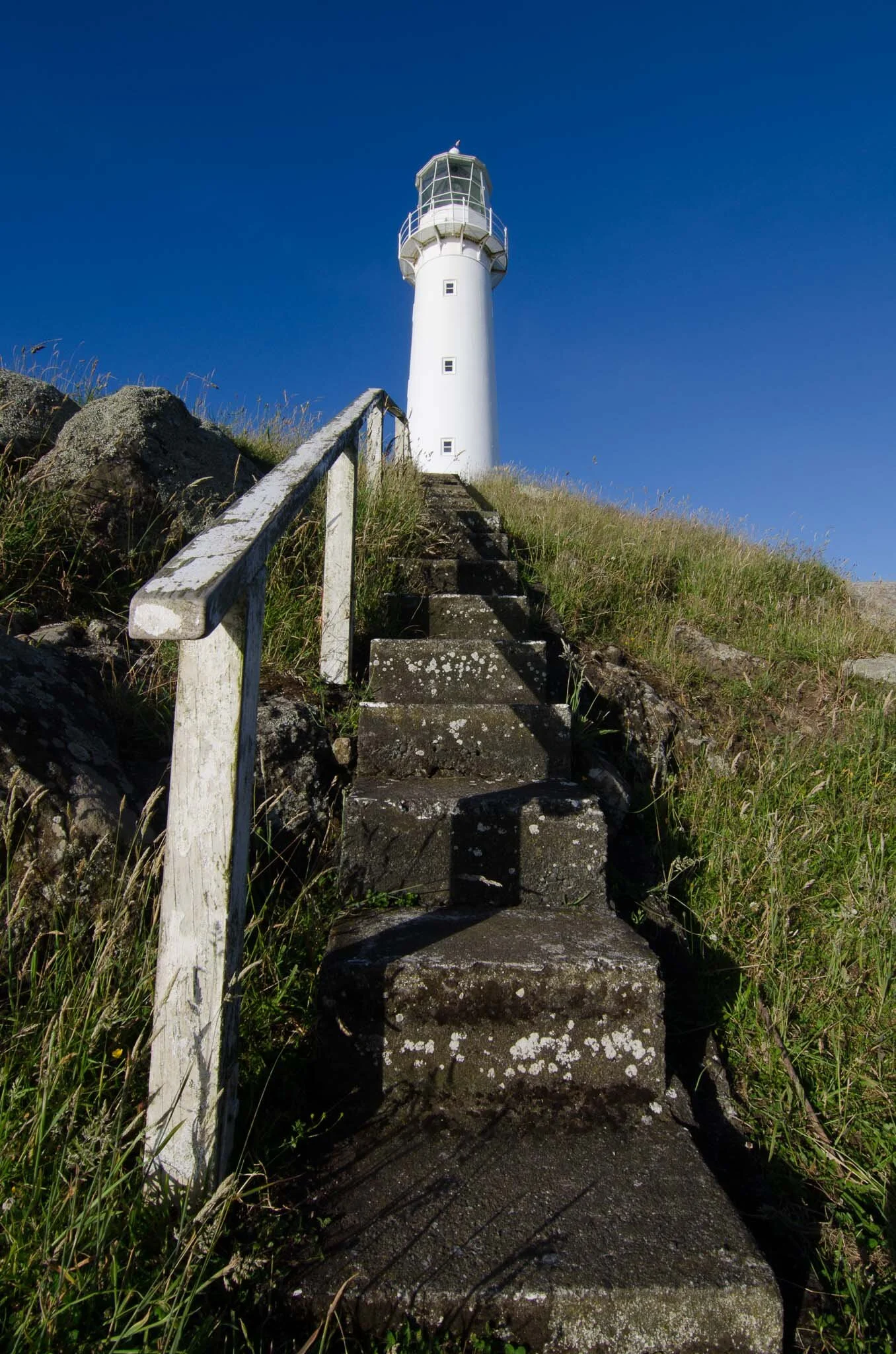 Cape Egmont-10.jpg
