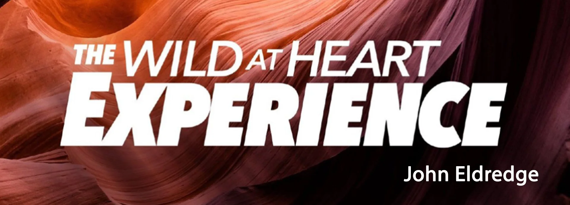 Wild At Heart – Small Group Bible Study for Men