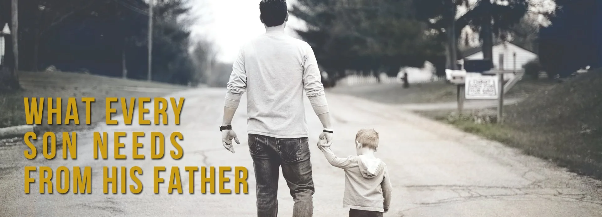 TIERCE GREEN / WHAT EVERY SON NEEDS FROM HIS FATHER