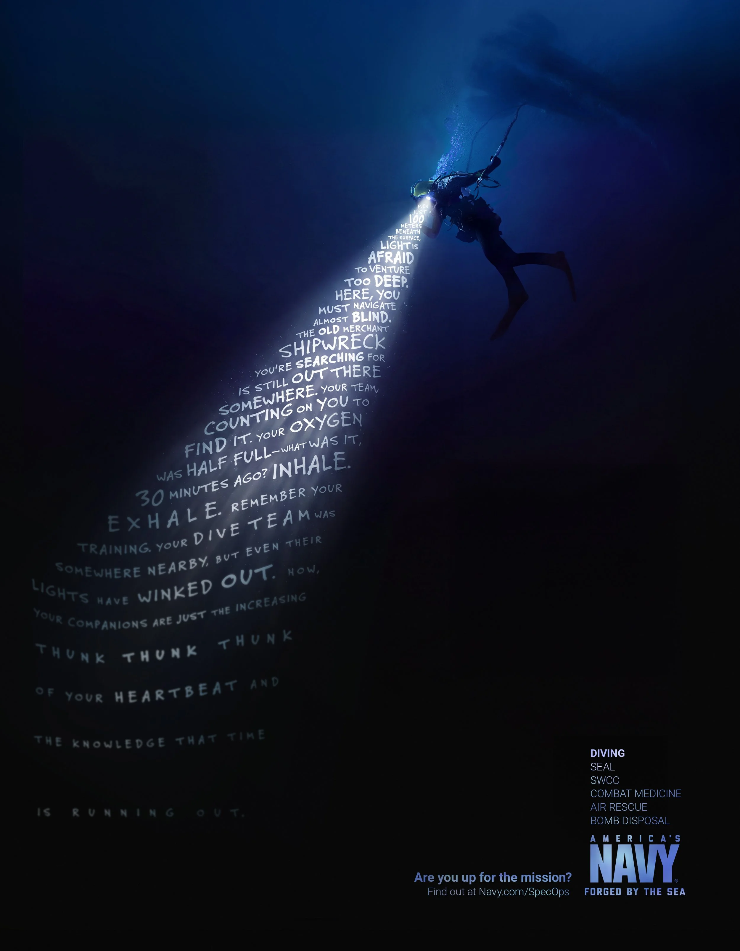 Diving-Light-Revised-8_5x11-RGB.jpg