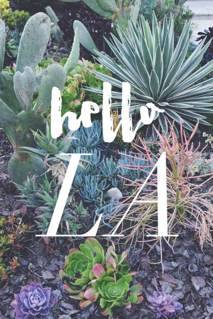 SucculentGarden